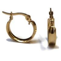 Goudkleurige Hoops RVS &acirc;&euro;&ldquo; Gladde Oorbellen (16 mm Diameter) -
