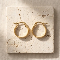 Goudkleurige Hoops RVS &acirc;&euro;&ldquo; Gladde Oorbellen (16 mm Diameter) -