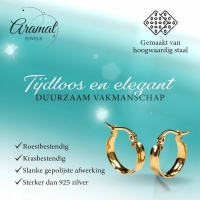 Goudkleurige Hoops RVS &acirc;&euro;&ldquo; Gladde Oorbellen (16 mm Diameter) -