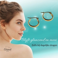 Gladde Hoops RVS &acirc;&euro;&ldquo; Goudkleurige Oorbellen (16, 20 en 25 mm) - 16mm -