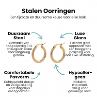Goudkleurige Gedraaide RVS Hoepeloorbellen - Gediamanteerd - 20 mm -