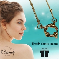 Ketting &acirc;&euro;&ldquo; Staal Bedelketting Bolletjes Schakel Goudkleurig (2mm) - 40cm - Unisex