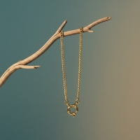 Ketting &acirc;&euro;&ldquo; Staal Bedelketting Gourmetschakel Goudkleurig (3mm) - 40cm - Heren