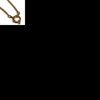 Ketting &acirc;&euro;&ldquo; Staal Bedelketting Gourmetschakel Goudkleurig (3mm) - 40cm - Heren