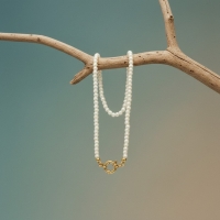 Luxe Parel Bedelketting - vrouwen ketting - Zilverkleur - Dames