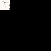 Roze Natuursteen Chips bedeltje - Goudkleur - Unisex