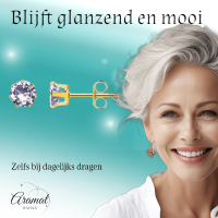 Goudkleurige Zirkonia Oorbellen 6mm Lila -