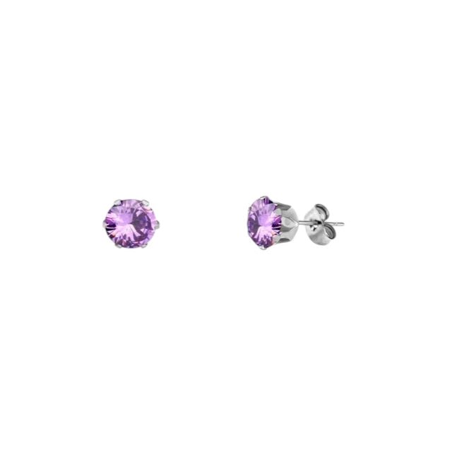 RVS Paarse Zirkonia Oorbellen - Zilverkleur / 5mm -