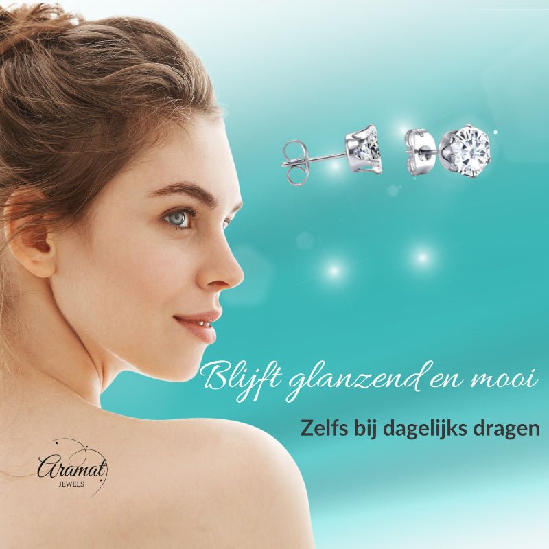 Stalen Oorstekers met Transparante Zirkonia - Rond - 2mm -