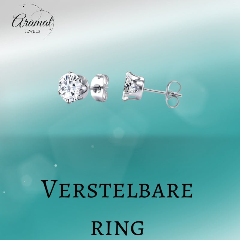 Stalen Oorstekers met Transparante Zirkonia - Rond - 2mm -