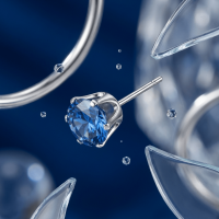 Zilverkleurige RVS Oorstekers met Blauwe Zirkonia - 8 mm -