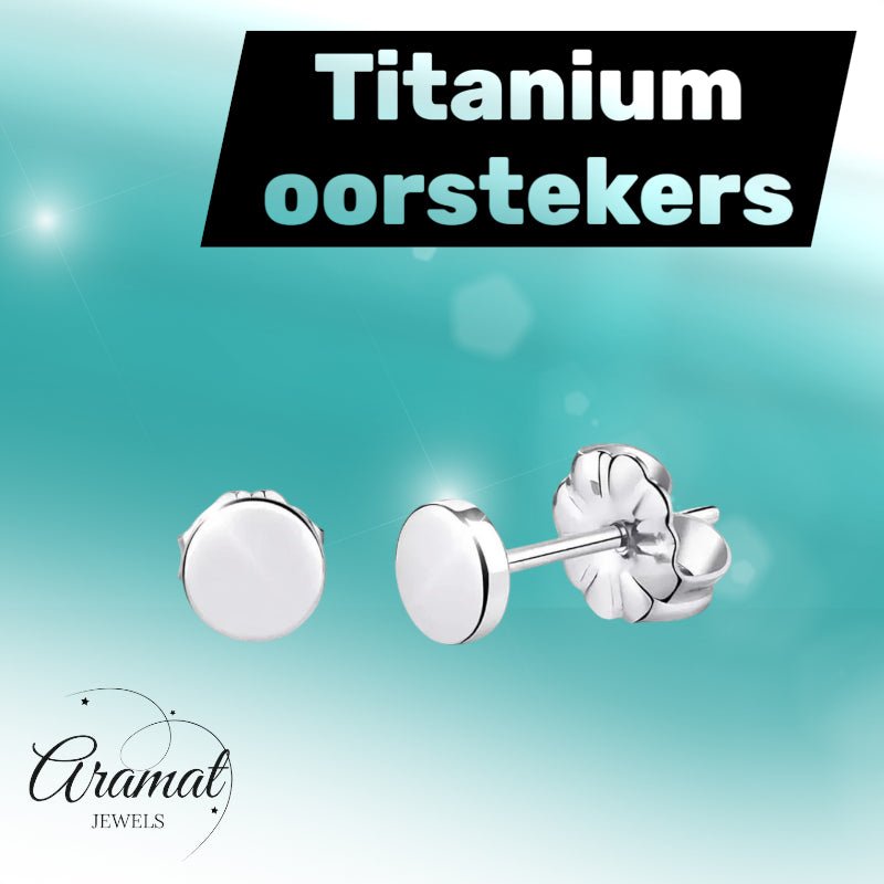 Oorbellen &acirc;&euro;&ldquo; Titanium Rond Zilverkleurig (5mm) -