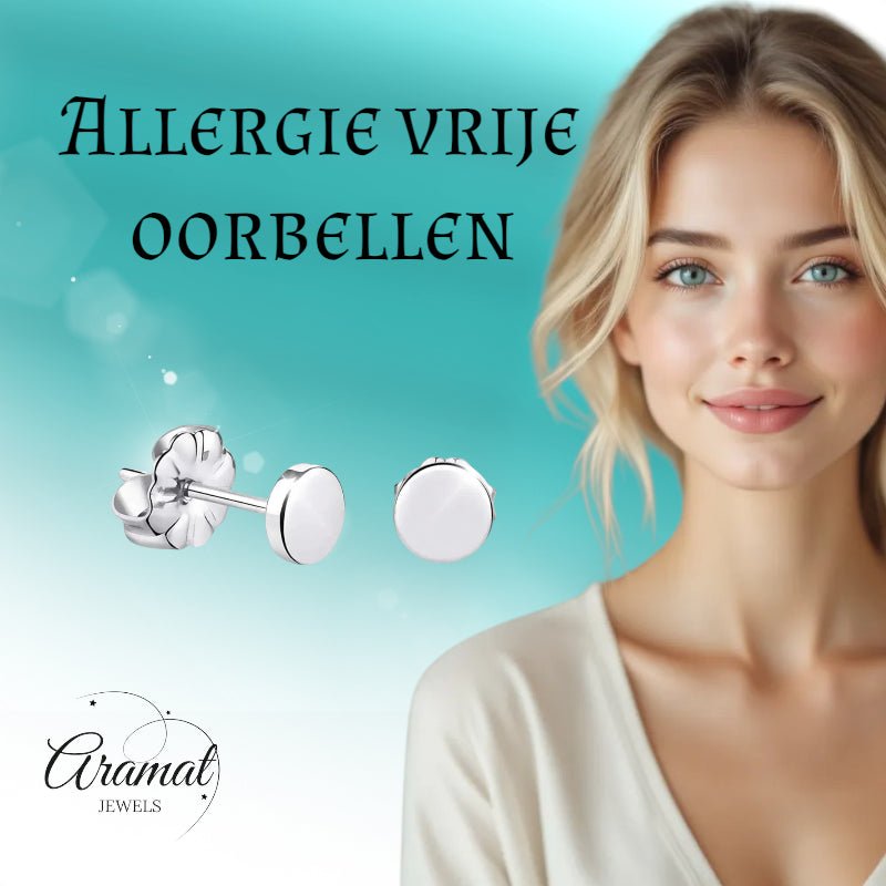 Oorbellen &acirc;&euro;&ldquo; Titanium Rond Zilverkleurig (5mm) -