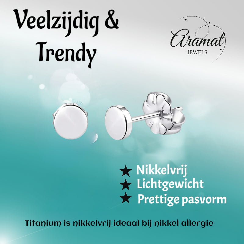 Oorbellen &acirc;&euro;&ldquo; Titanium Rond Zilverkleurig (5mm) -