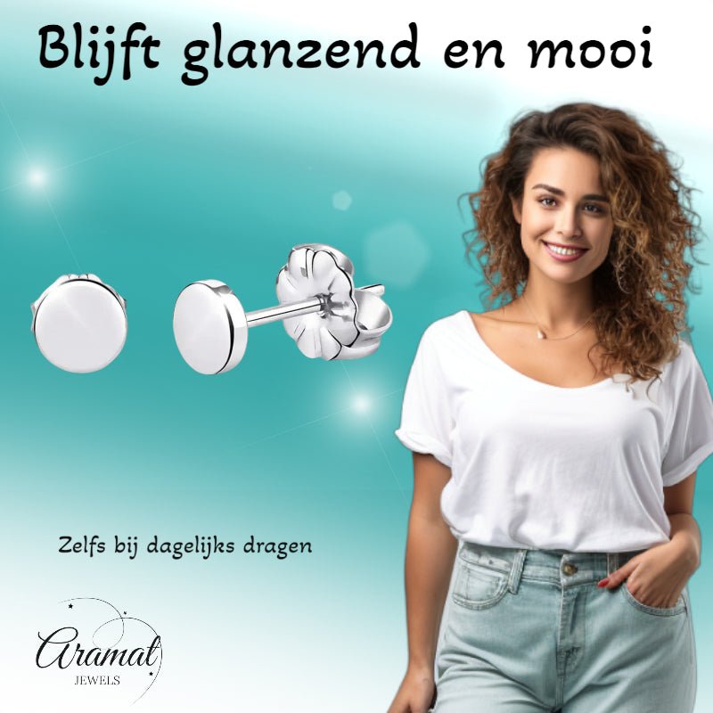 Oorbellen &acirc;&euro;&ldquo; Titanium Rond Zilverkleurig (5mm) -