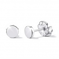 Oorbellen &acirc;&euro;&ldquo; Titanium Rond Zilverkleurig (5mm) -