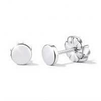 Oorbellen &acirc;&euro;&ldquo; Titanium Rond Zilverkleurig (5mm) -