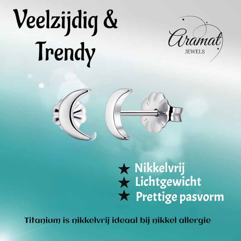 Oorbellen &acirc;&euro;&ldquo; Titanium Maan Zilverkleurig (8mm) -