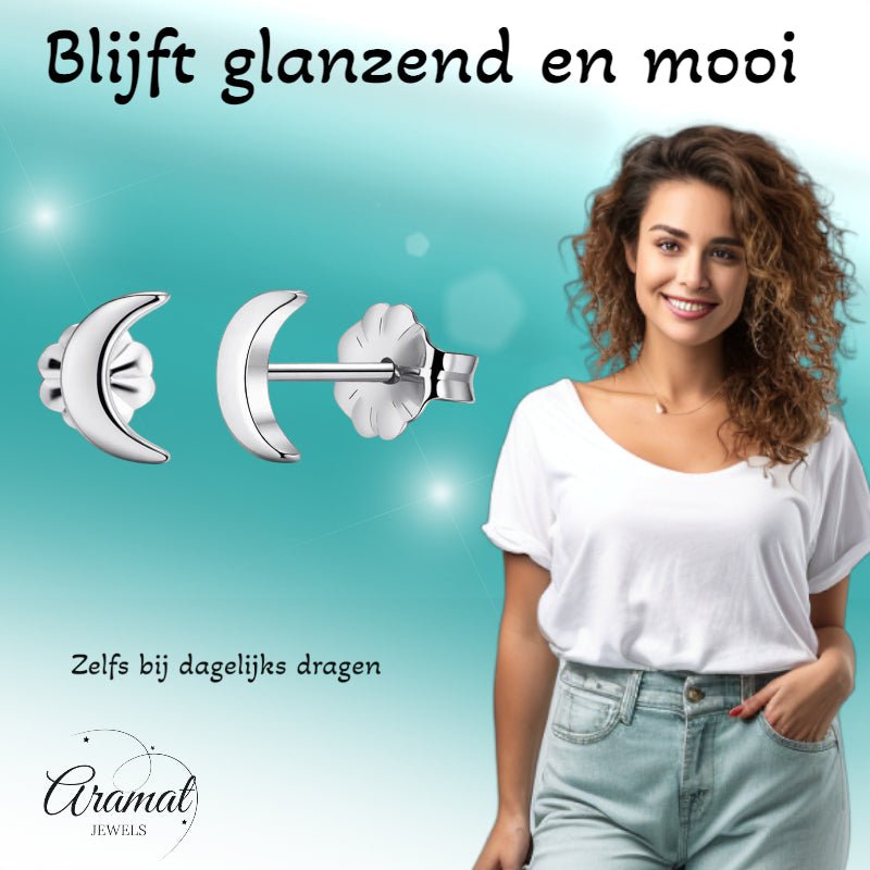 Oorbellen &acirc;&euro;&ldquo; Titanium Maan Zilverkleurig (8mm) -
