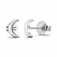 Oorbellen &acirc;&euro;&ldquo; Titanium Maan Zilverkleurig (8mm) -