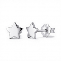 Oorbellen &acirc;&euro;&ldquo; Titanium Ster Zilverkleurig (7mm) -