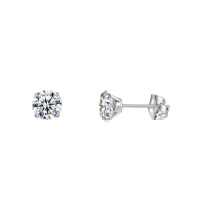 Elegante Titanium Oorbellen Met transparante Zirkonia - 3mm -