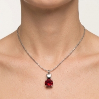Ashanger met Rode Zirkonia Zilverkleurig RVS &acirc;&euro;&ldquo; 28x12mm Gedenksieraad - Unisex
