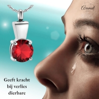 Ashanger met Rode Zirkonia Zilverkleurig RVS &acirc;&euro;&ldquo; 28x12mm Gedenksieraad - Unisex