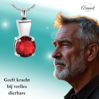 Ashanger met Rode Zirkonia Zilverkleurig RVS &acirc;&euro;&ldquo; 28x12mm Gedenksieraad - Unisex