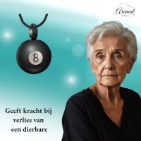 Ashanger Biljartbal met Cijfer 8 - Zwart RVS - Heren