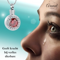 Stalen Zirkonia Ashanger rond - Transparant - Heren