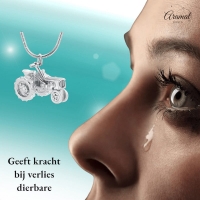 RVS Ashanger Trekker - Zilverkleurig - 20x30 mm - Heren