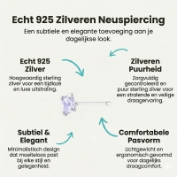 Paarse Zirkonia Zilveren Neuspiercing - Dames