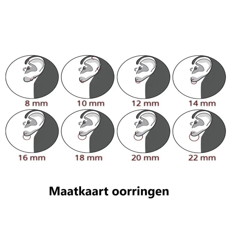 Zwarte Zirkonia Oorringen met hanger -