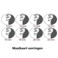 Grijze Oorbellen Set - Love is in The Air -