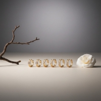 Oorbellen Set: Oorringetjes en Earcrawler Goudkleur -