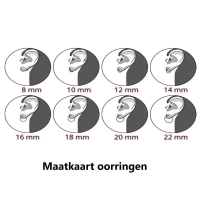 Schitterende Zilveren Oorringetjes Set -