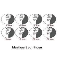 Zilveren Oorringetjes Set met Goudbedel -