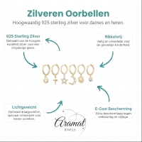 Zilveren Oorringetjes met Gouden Plating - Set van 6 -