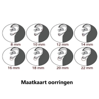 Zilveren Oorringetjes met Gouden Plating - Set van 6 -