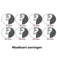 Elegante Zilveren Oorringen Set - 12mm -