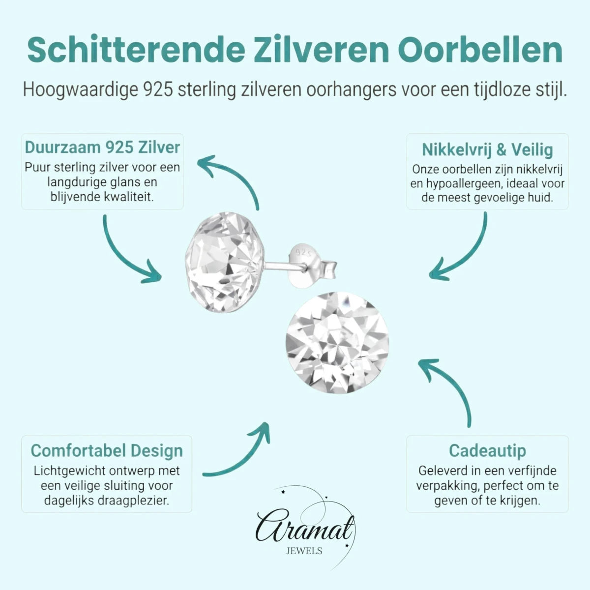 Zilveren Kristal Oorbellen 925 Zilver - Stralende Rondes -