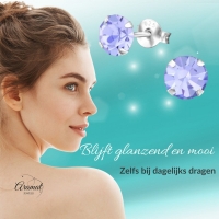 Lila Kristal Zilveren Oorbellen -