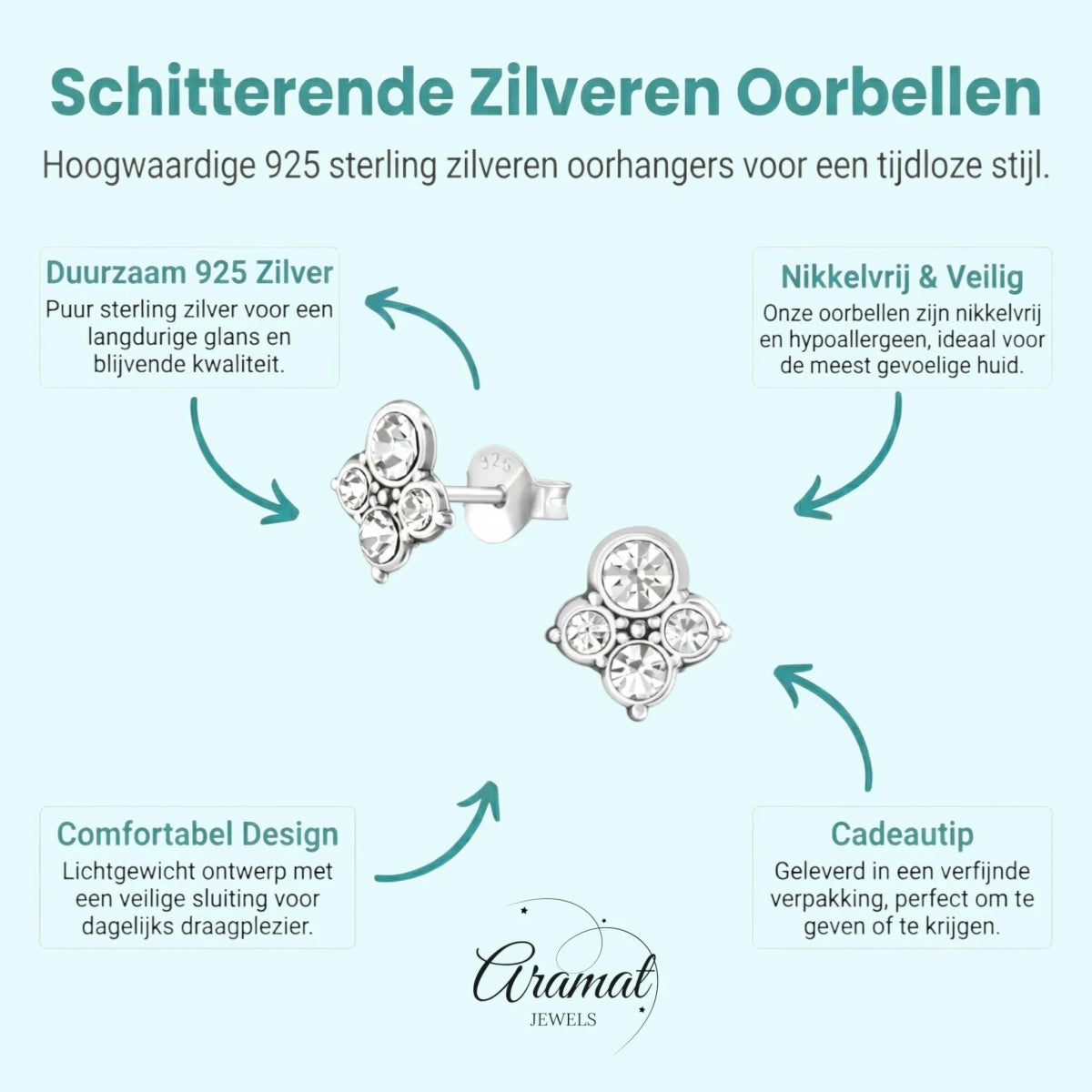 Transparante Kristal Oorbellen met 925 Zilver -