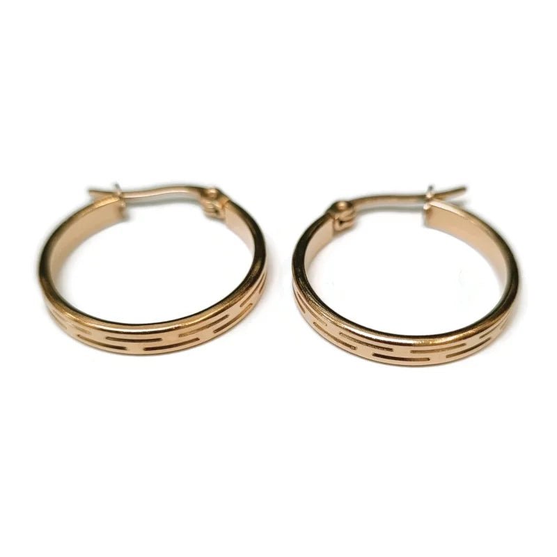 Goudkleurige Oorringen stainless steel -