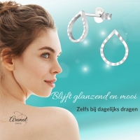 Zilveren Druppelvormige Oorbellen -