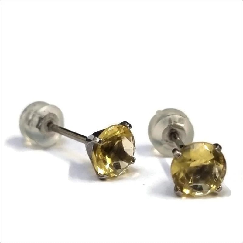 Ronde Titanium Oorbellen met Zirkonia -