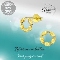 Goudkleurige zilveren gedraaide oorstekers -