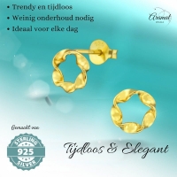 Goudkleurige zilveren gedraaide oorstekers -