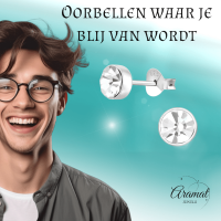 Zilveren kristal oorstekers &acirc;&euro;&ldquo; 5 mm - Transparante steen -